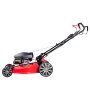 Газонокосилка бензиновая самоходная с двигателем FUBAG Honda FPL 56 SMH в Кемерово фото