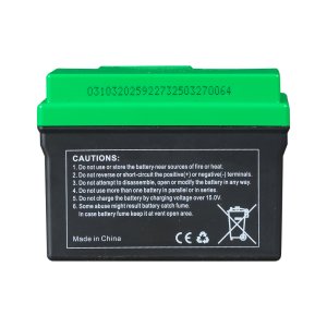 Аккумулятор FUBAG li-ion 3Ah для инверторного генератора TI 11000 A ES (арт. 646211) купить в Кемерово